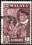 [Sultan Ibrahim & Local Motifs, type AH]