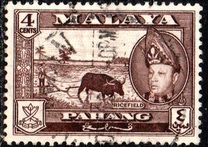 [Sultan Abu bakar Ri' ayad din Almutasin Shah ibn al marhum Almutasin Bilah Sultan Abdullah, type S]