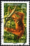 [UNESCO World Heritage, 類型 BL]