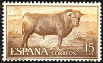 [Bull Fighting, type ASR]
