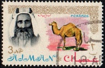 [Sheik Rashid bin Humaid al Naimi Pictured with Different Animals - Size: 35 x 22 mm, type C]