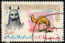 [Sheik Rashid bin Humaid al Naimi Pictured with Different Animals - Size: 35 x 22 mm, type C]