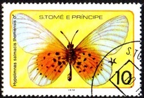 [Butterflies, Typ FT]