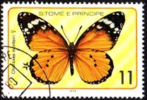 [Butterflies, Typ FV]