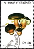 [Fungi, 类型 AAZ]