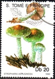 [Fungi, 类型 ABA]