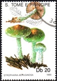 [Fungi, 类型 ABA]