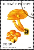 [Fungi, 类型 ABB]
