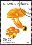 [Fungi, 类型 ABB]