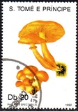 [Fungi, 类型 ABA]