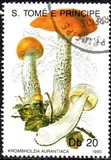 [Fungi, 类型 ABC]