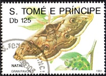 [Christmas - Butterflies, type AFH]