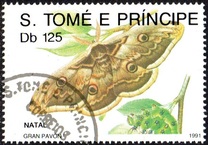 [Christmas - Butterflies, type AFH]