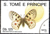 [Christmas - Butterflies, type AFI]