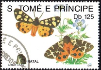 [Christmas - Butterflies, type AFK]