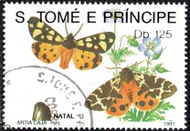 [Christmas - Butterflies, type AFK]