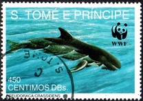 [Worldwide Nature Protection - Marine Mammals, Tip AFN]