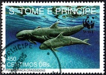 [Worldwide Nature Protection - Marine Mammals, Tip AFO]