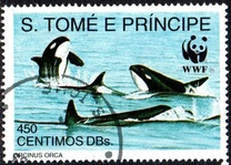 [Worldwide Nature Protection - Marine Mammals, Tip AFP]