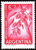 [Airmail - Chilean Earthquake Relief Fund, type RW]