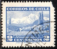 [Local Motives, Tip NP]