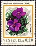 [Flowers of Venezuela, प्रकार BQY]