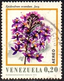 [Airmail - Flowers of Venezuela, type BRC]