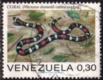 [Snakes, typ BUA]