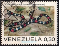 [Snakes, typ BUA]