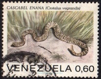 [Snakes, typ BUB]