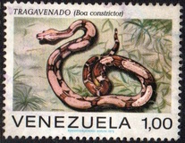 [Snakes, typ BUC]