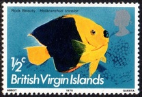 [Fish, type GI]