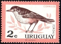 [Birds, type PE]