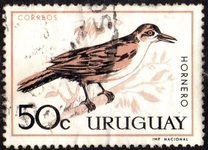 [Birds, type PF]