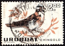 [Birds, type PH]