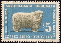 [Airmail - Uruguayan Sheep-breeding, tipas SP]