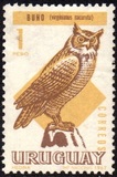 [Birds, type UA]