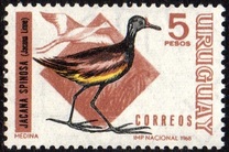 [Birds, type UB]