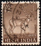 [Spotted Deer, type PE]