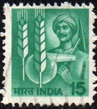 [Agriculture, type XP]