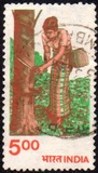 [Agriculture, ประเภท YT]