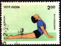 [Yoga Exercises, タイプ ARP]