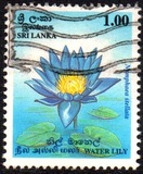 [National Flower, tip XP]