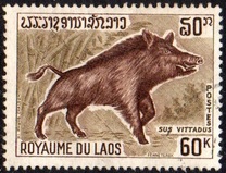 [Wild Animals, type KG]