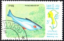 [Fish of Mekong River, Tip YW]