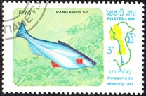 [Fish of Mekong River, Tip YW]