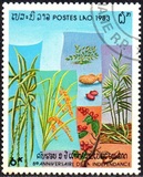 [The 8th Anniversary of the People's Republic, type ZR]