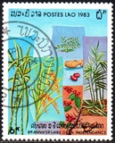 [The 8th Anniversary of the People's Republic, type ZR]