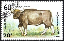 [Mammals, タイプ AUG]