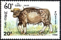 [Mammals, タイプ AUG]